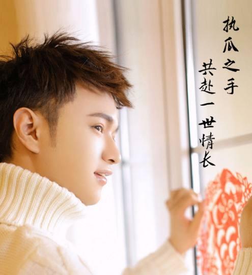 娱乐圈吃大瓜小说推荐,跟随小说探寻明星背后的秘密与真相